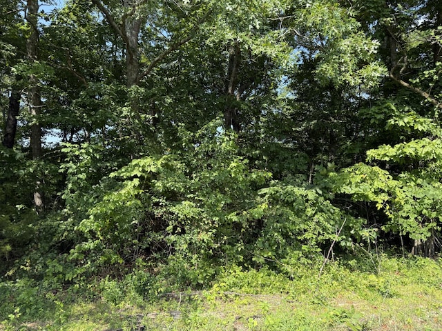 313 Loveless Ln, Manchester, TN 37355 - photo 27