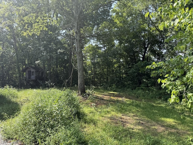 313 Loveless Ln, Manchester, TN 37355 - photo 26