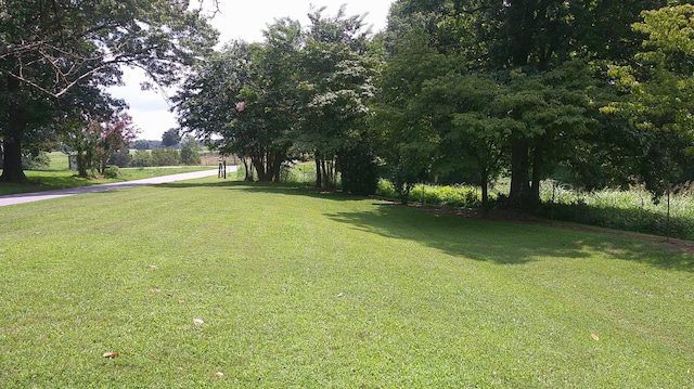 1608 Price Hollow Rd, Lynchburg, TN 37352 - photo 29