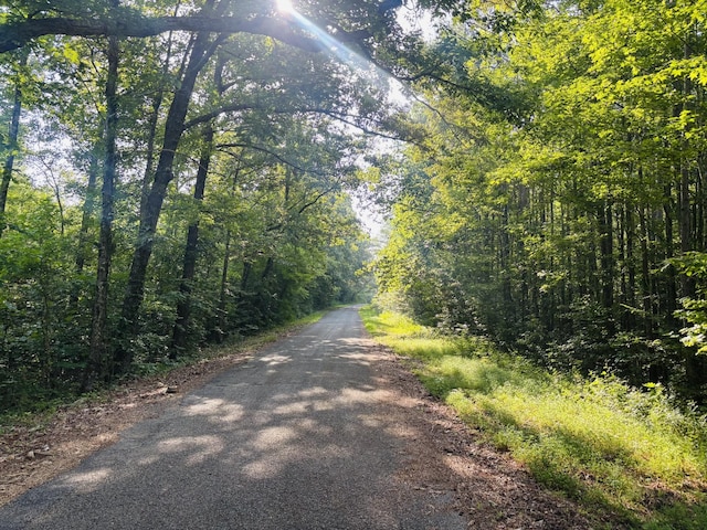 0 Old Lula Rd, Reagan, TN 38368 - photo 4