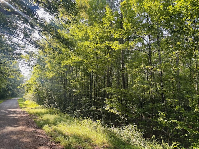 0 Old Lula Rd, Reagan, TN 38368 - photo 6