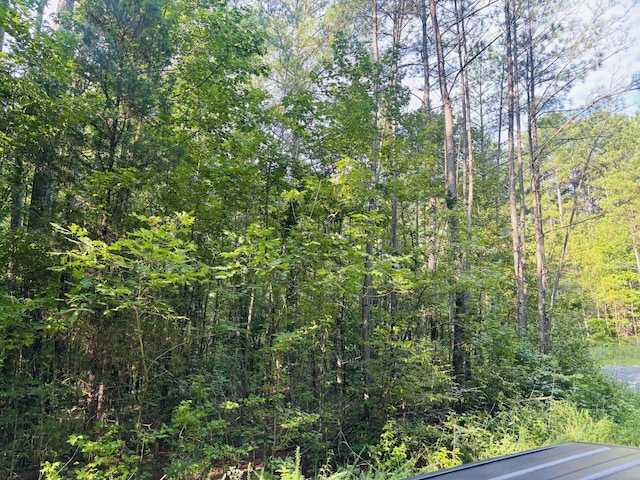 0 Old Lula Rd, Reagan, TN 38368 - photo 7
