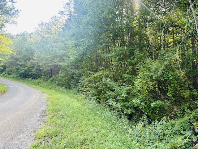 0 Old Lula Rd, Reagan, TN 38368 - photo 3