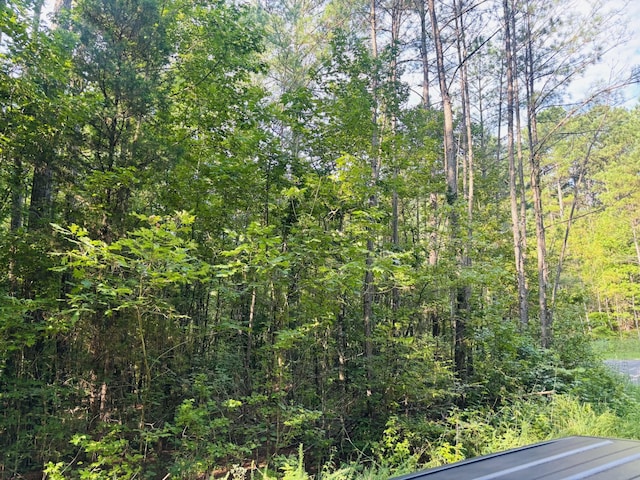 0 Old Lula Rd, Reagan, TN 38368 - photo 8