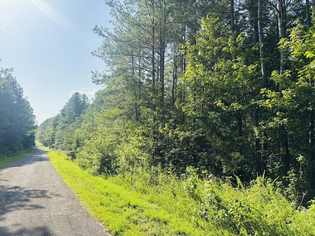 0 Old Lula Rd, Reagan, TN 38368 - photo 10