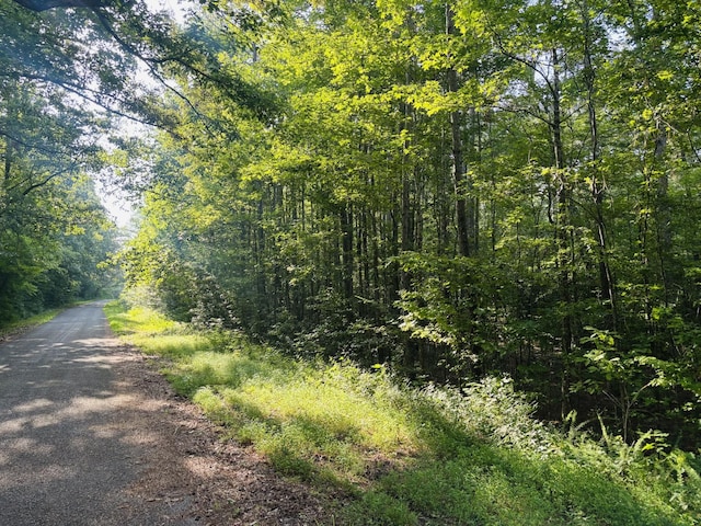 0 Old Lula Rd, Reagan, TN 38368 - photo 5