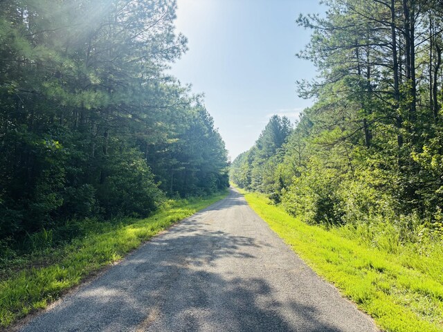 0 Old Lula Rd, Reagan, TN 38368 - photo 9
