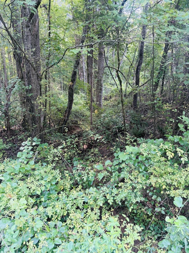 0 Old Lula Rd, Reagan, TN 38368 - photo 2