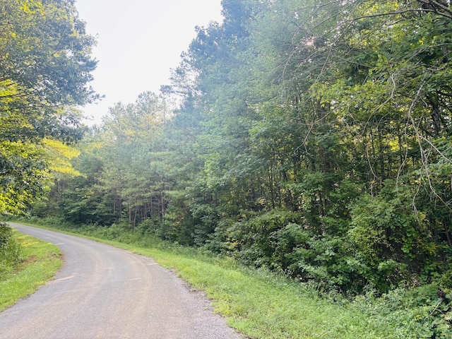 0 Old Lula Rd, Reagan, TN 38368 - photo 1