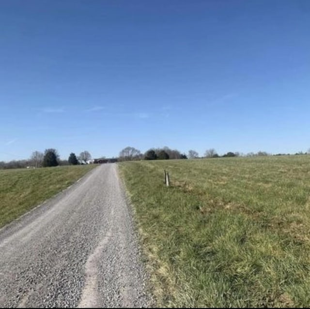 801 Hidden Hollow Way, Smithville, TN 37166 - photo 10