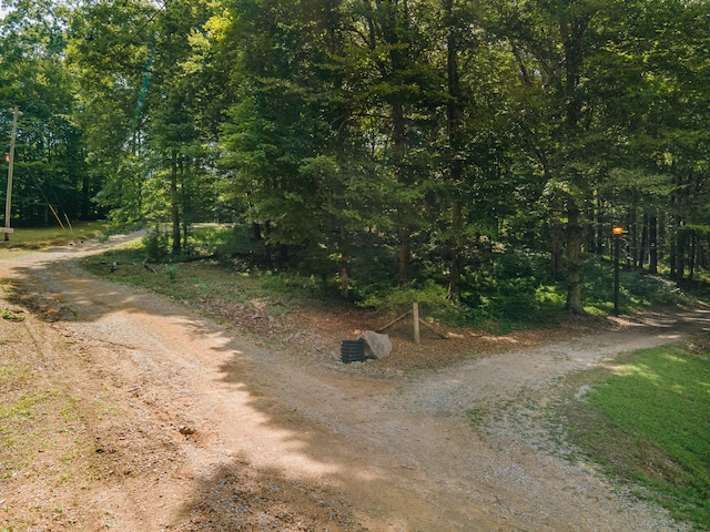 2425 Anthony Ln, Columbia, TN 38401 - photo 32