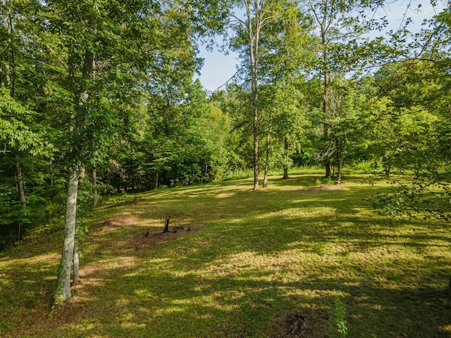 2425 Anthony Ln, Columbia, TN 38401 - photo 39