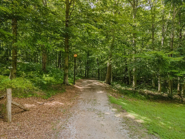 2425 Anthony Ln, Columbia, TN 38401 - photo 33