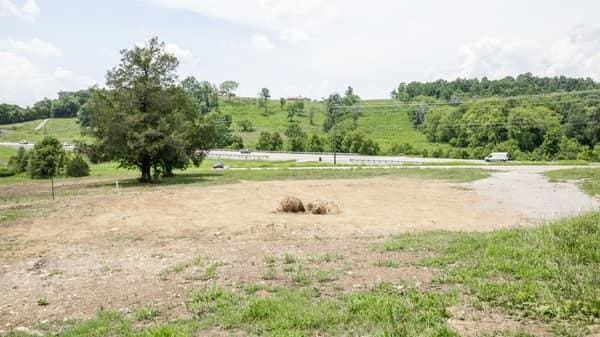 8465 Hartsville Pike, Lebanon, TN 37087 - photo 5