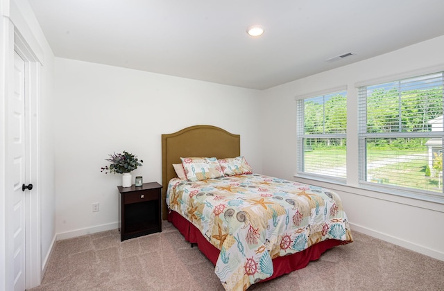 249 Cavalcade Loop, Gallatin, TN 37066 - photo 13