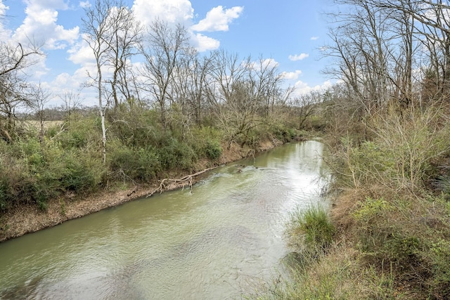 6579 Windmill Dr, College Grove, TN 37046 - photo 75