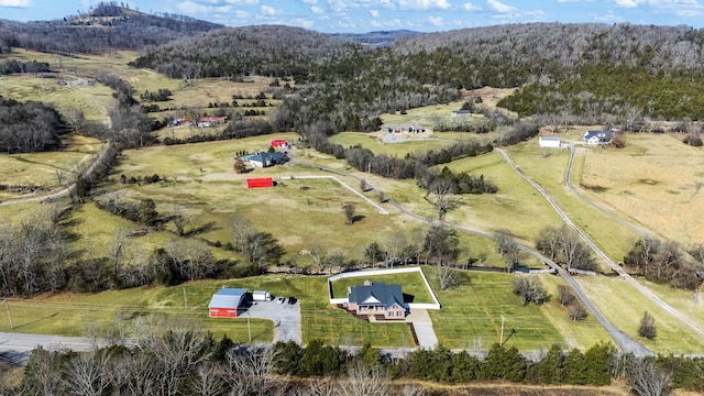 555 Old Woodbury Pike, Readyville, TN 37149 - photo 49