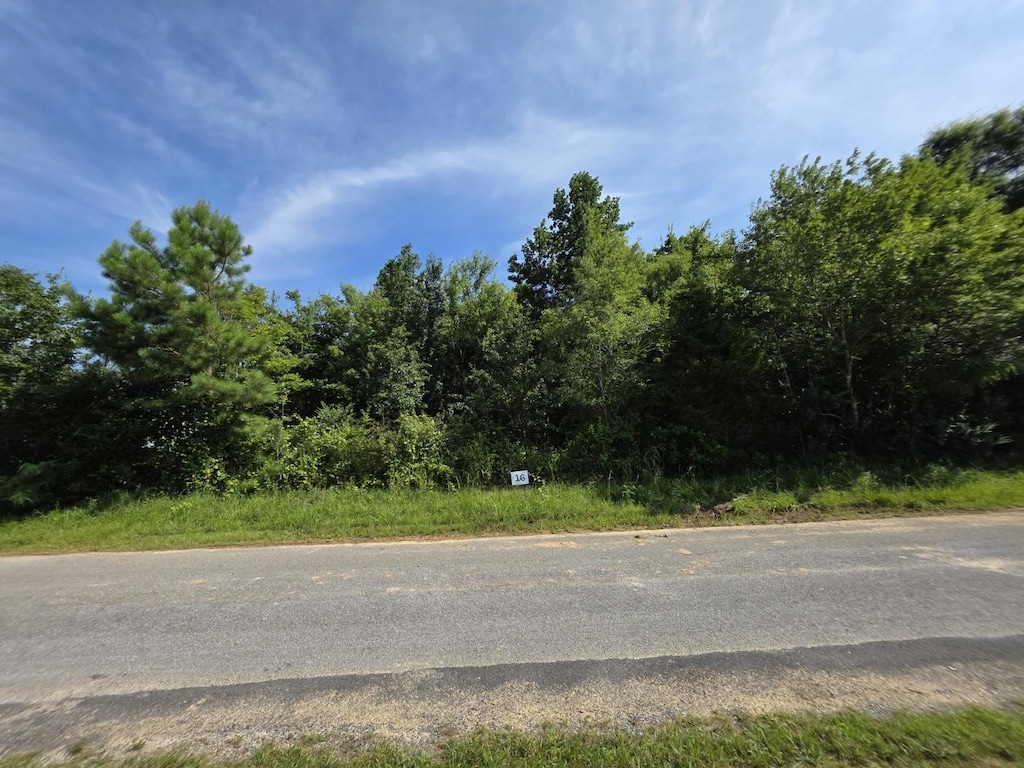 16 Gath Lucky Rd, Mcminnville, TN 37110 - photo 1