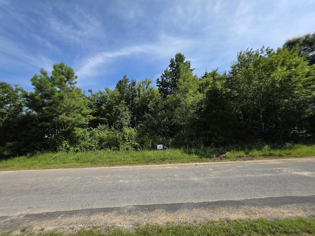 16 Gath Lucky Rd, Mcminnville, TN 37110 - photo 1