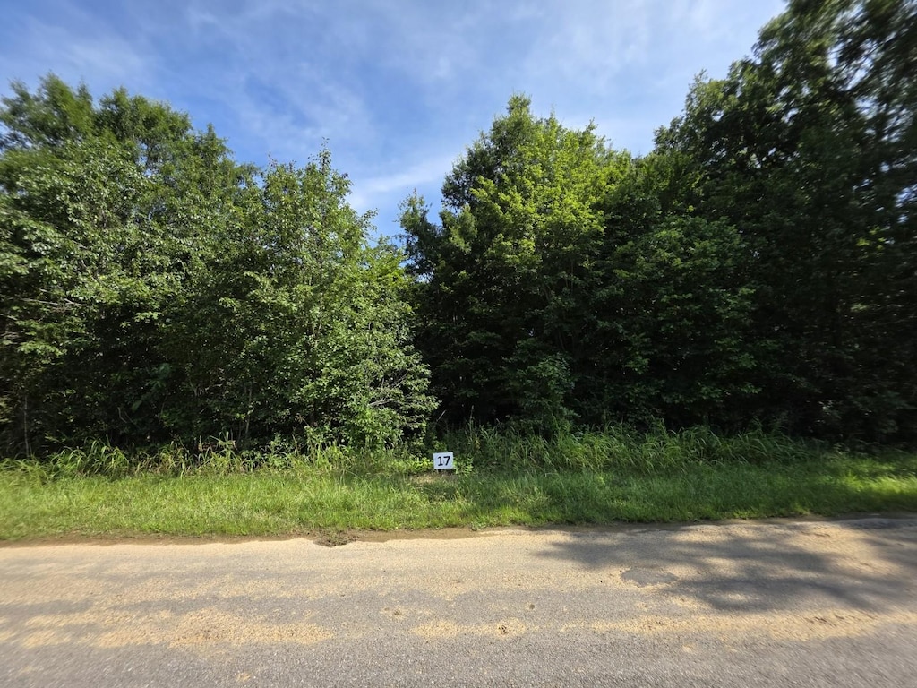 17 Gath Lucky Rd, Mcminnville, TN 37110 - photo 1