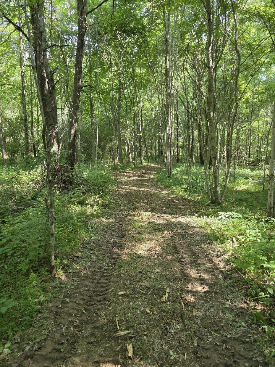 17 Gath Lucky Rd, Mcminnville, TN 37110 - photo 2