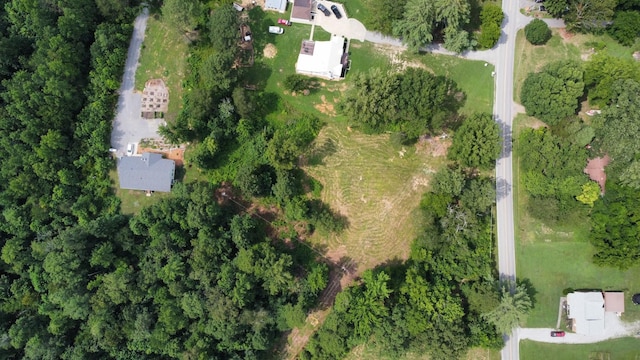 1276 Cumberland Heights Rd, Clarksville, TN 37040 - photo 3
