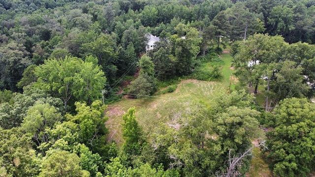1276 Cumberland Heights Rd, Clarksville, TN 37040 - photo 4