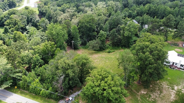 1276 Cumberland Heights Rd, Clarksville, TN 37040 - photo 6