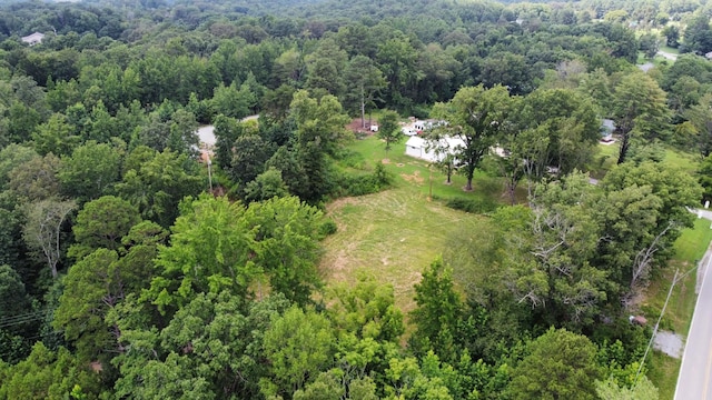 1276 Cumberland Heights Rd, Clarksville, TN 37040 - photo 2