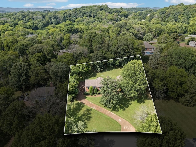 161 Saint Andrews Dr, Franklin, TN 37069 - photo 55
