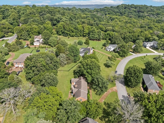 161 Saint Andrews Dr, Franklin, TN 37069 - photo 47