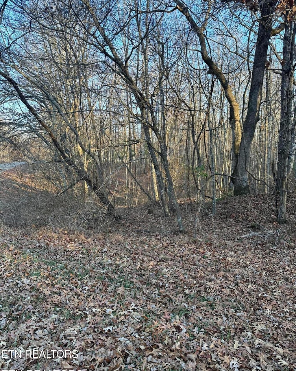 125 Devon Rd, Crossville, TN 38558 - photo 1