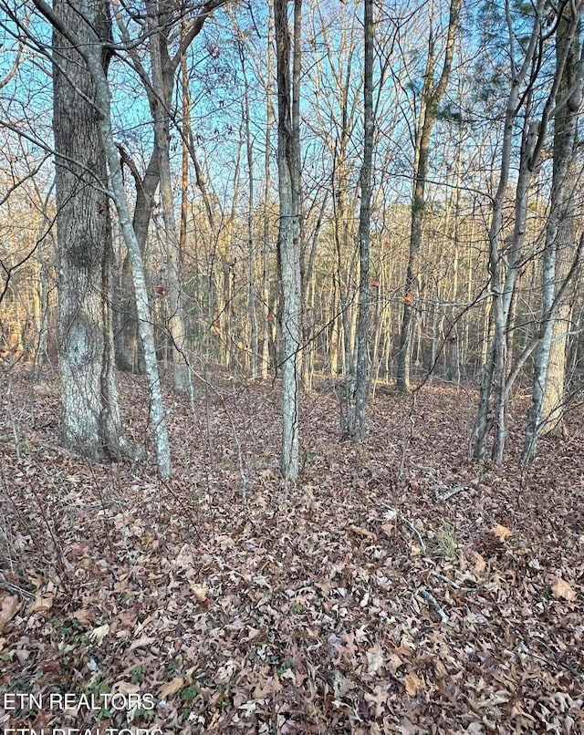21 Burnaby Ct, Crossville, TN 38558 - photo 1