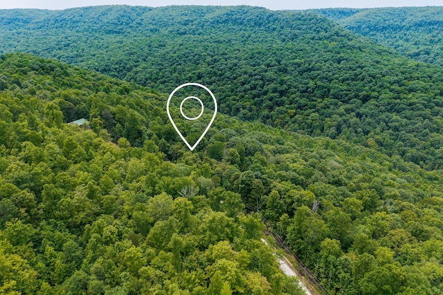 0 Bobcat Ln W, Wilder, TN 38589 - photo 7