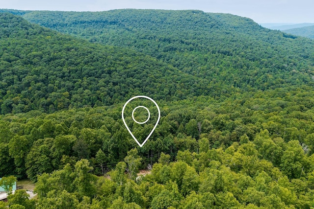 0 Bobcat Ln W, Wilder, TN 38589 - photo 5
