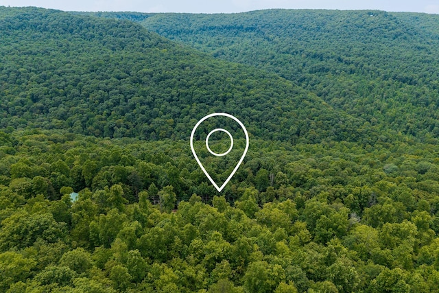 0 Bobcat Ln W, Wilder, TN 38589 - photo 9