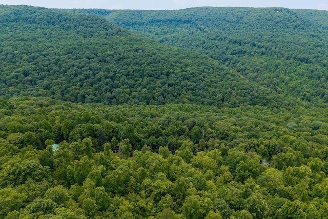 0 Bobcat Ln W, Wilder, TN 38589 - photo 10