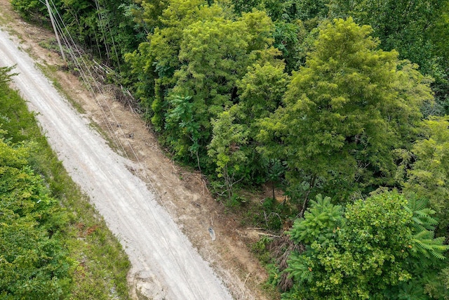 0 Bobcat Ln W, Wilder, TN 38589 - photo 2