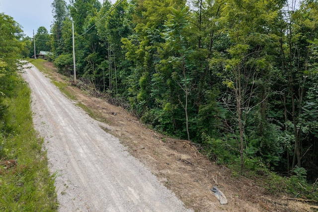 0 Bobcat Ln W, Wilder, TN 38589 - photo 1