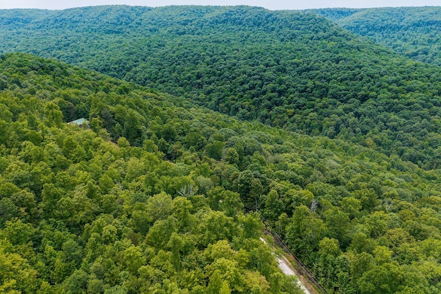 0 Bobcat Ln W, Wilder, TN 38589 - photo 8