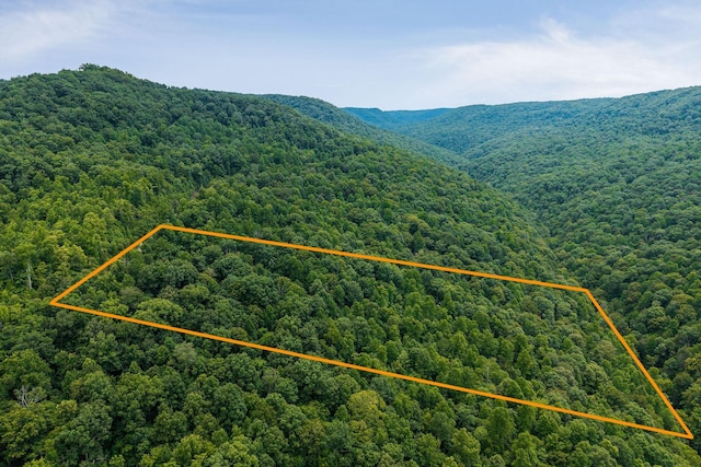 0 Bobcat Ln W, Wilder, TN 38589 - photo 11