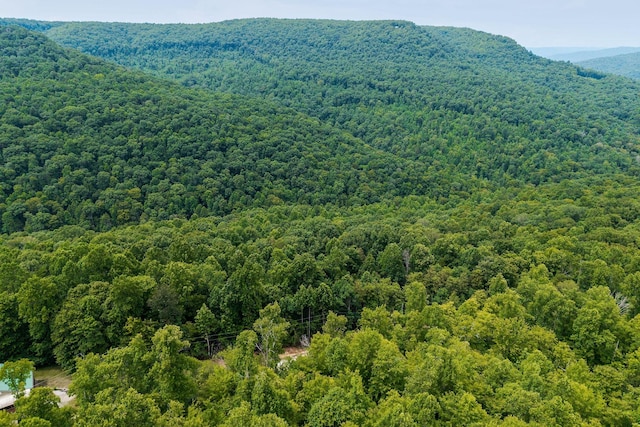 0 Bobcat Ln W, Wilder, TN 38589 - photo 6
