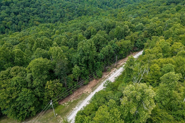 0 Bobcat Ln W, Wilder, TN 38589 - photo 4
