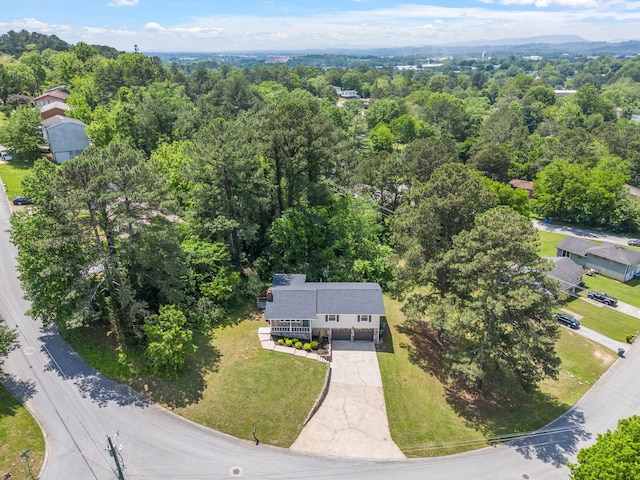 7752 Holiday Hills Cir, Chattanooga, TN 37416 - photo 4
