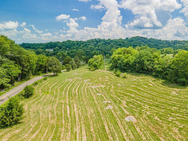 1669 Ewing Ln, Lewisburg, TN 37091 - photo 7
