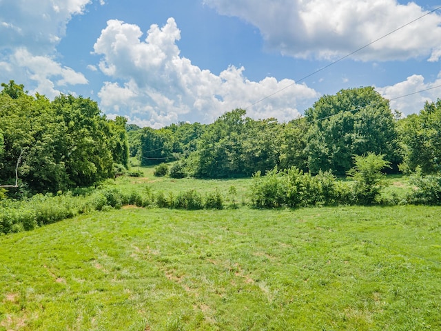 1669 Ewing Ln, Lewisburg, TN 37091 - photo 19