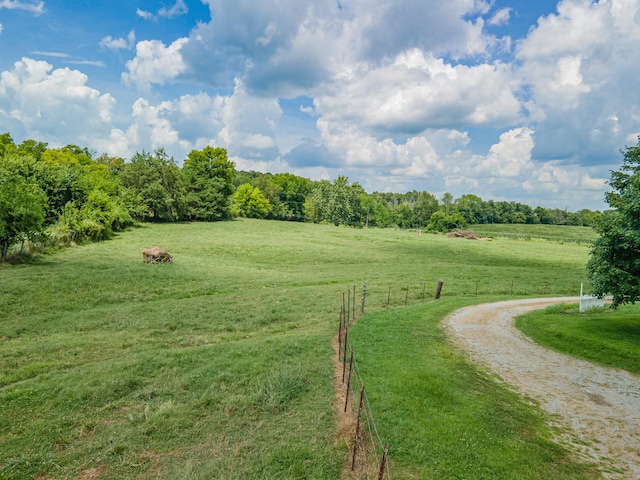 1669 Ewing Ln, Lewisburg, TN 37091 - photo 33