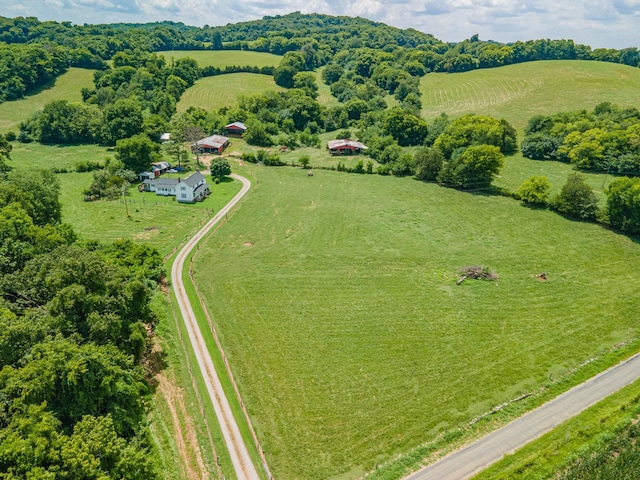 1669 Ewing Ln, Lewisburg, TN 37091 - photo 39