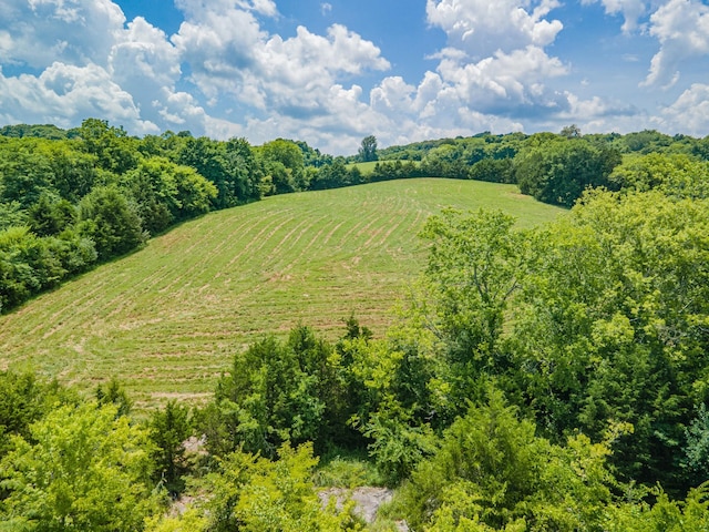 1669 Ewing Ln, Lewisburg, TN 37091 - photo 29