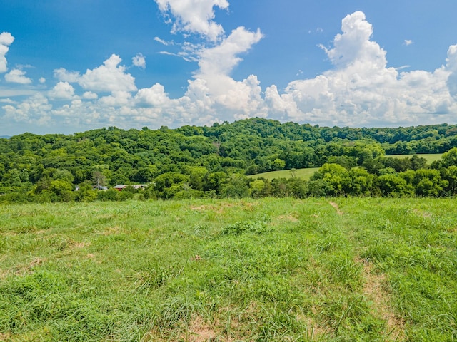 1669 Ewing Ln, Lewisburg, TN 37091 - photo 87